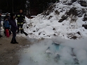 bild (71)